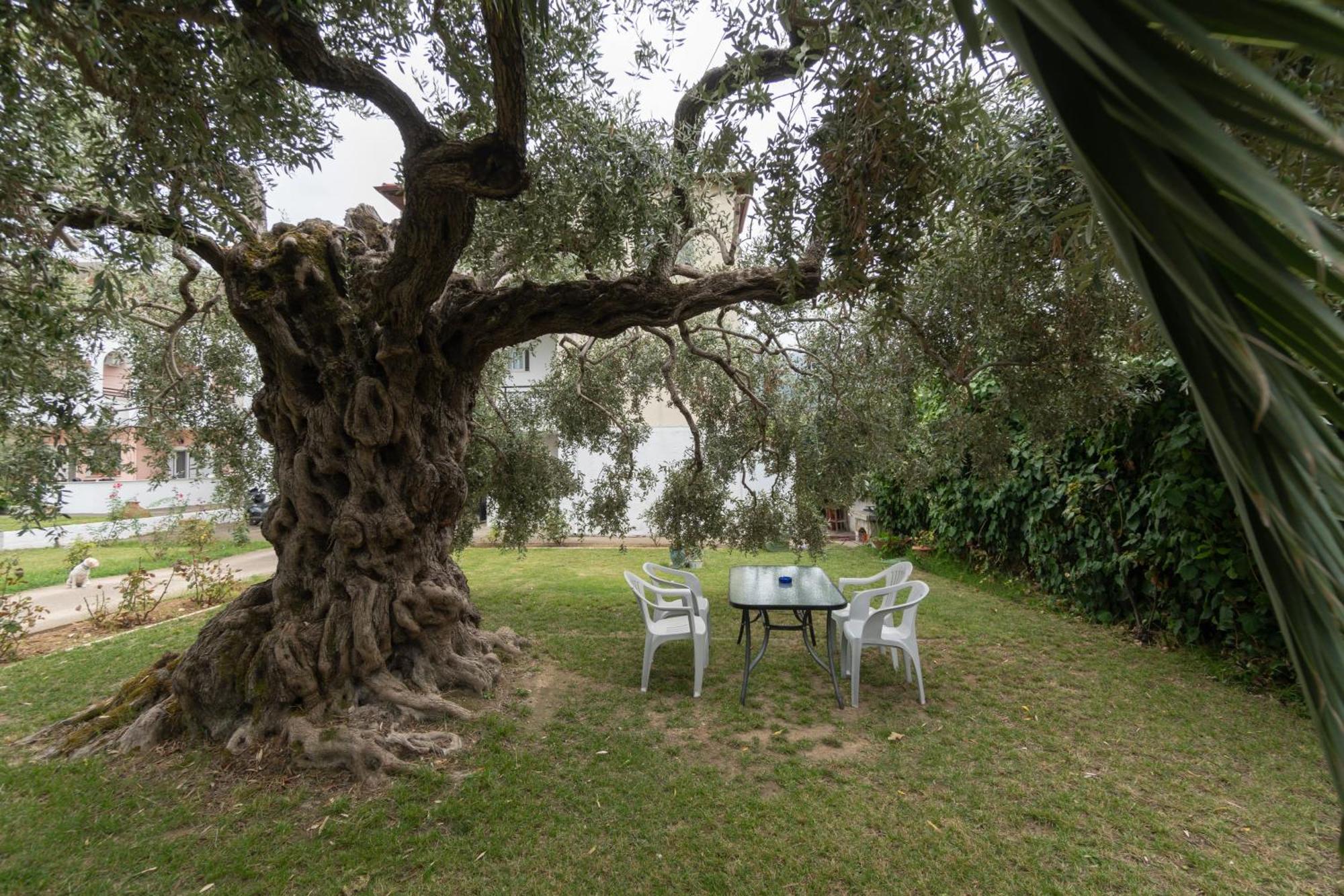 Studios Anais - Thasos Exterior foto